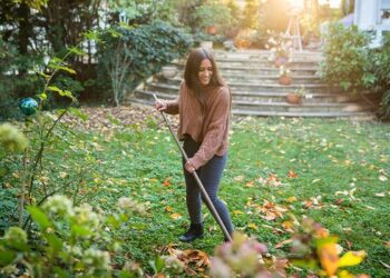 winter garden jobs that you need to do this season