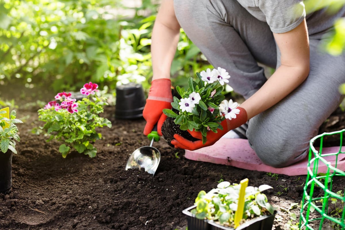 women planting and gardening during cold season 