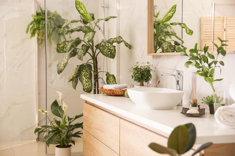  beautiful green plants in the bathroom theme