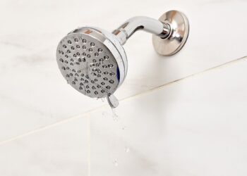 A Leaking Shower head