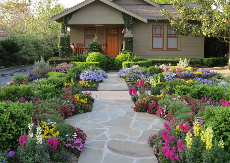 Australian Blooms