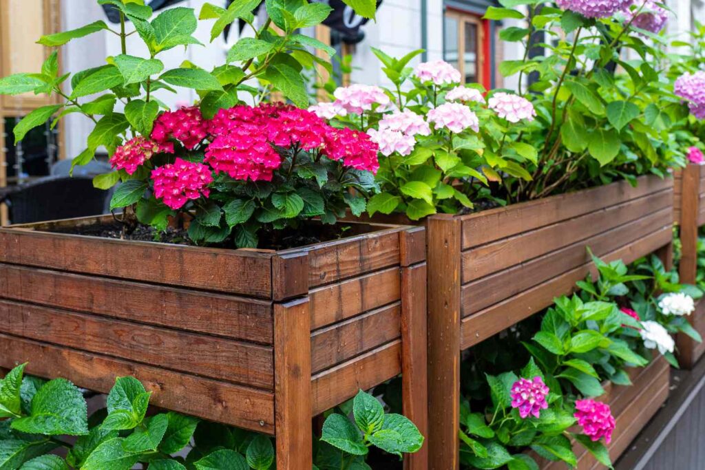 Beautiful Raised Garden Bed Ideas