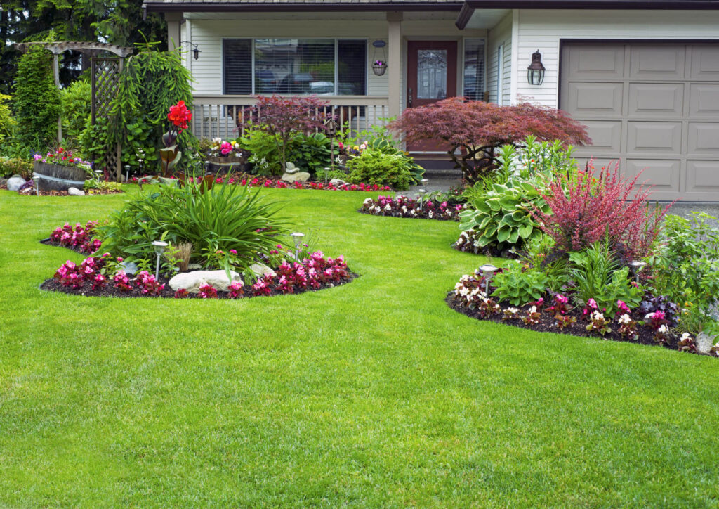 Beautiful Australian garden