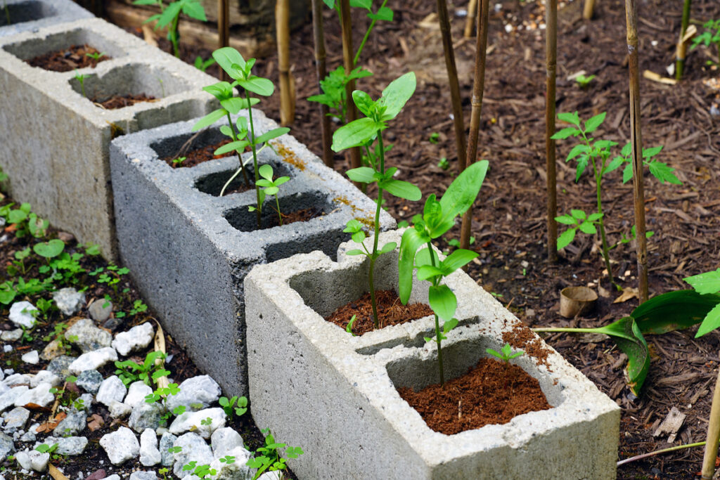 Cinder block planters