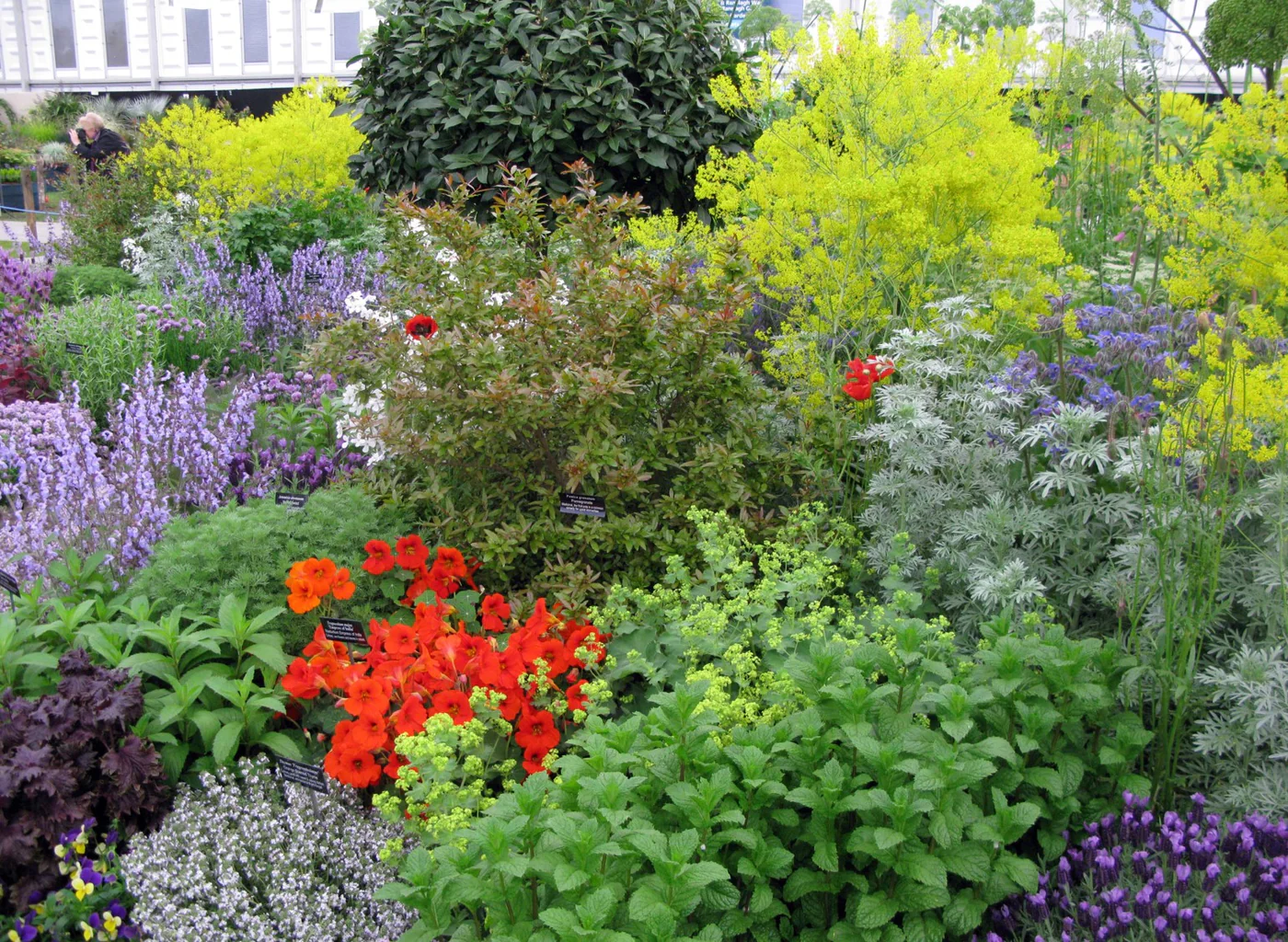 Cottage Herb Garden