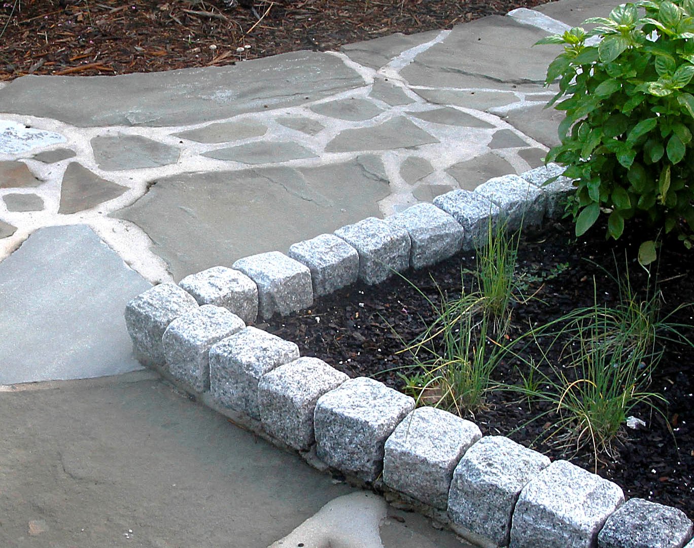 Fairy Garden With Cobblestone Edges 