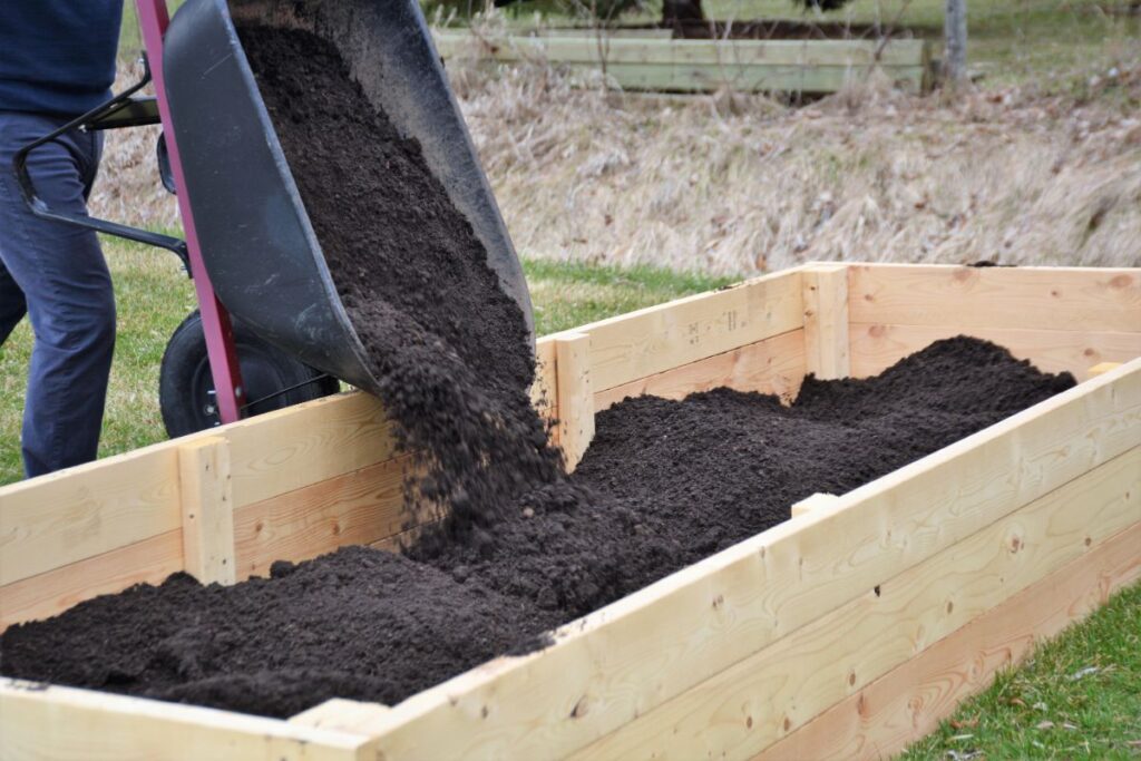 Fill the raised garden bed with soil