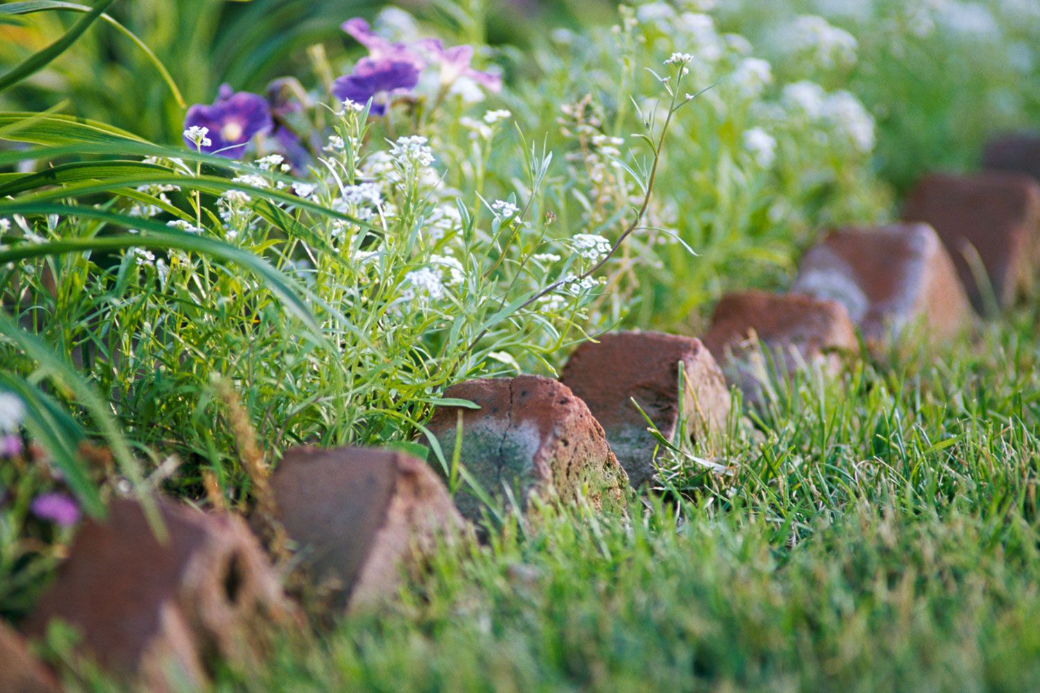 Garden Edging 