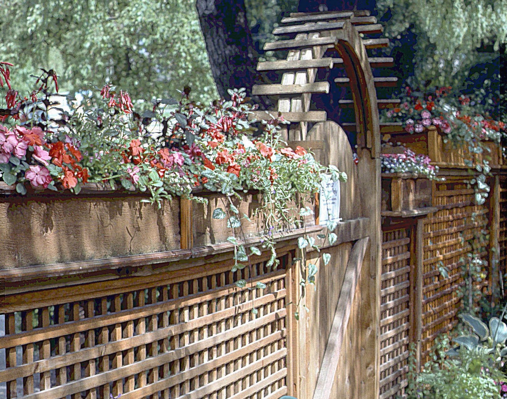 Hanging Planters for fence extensions