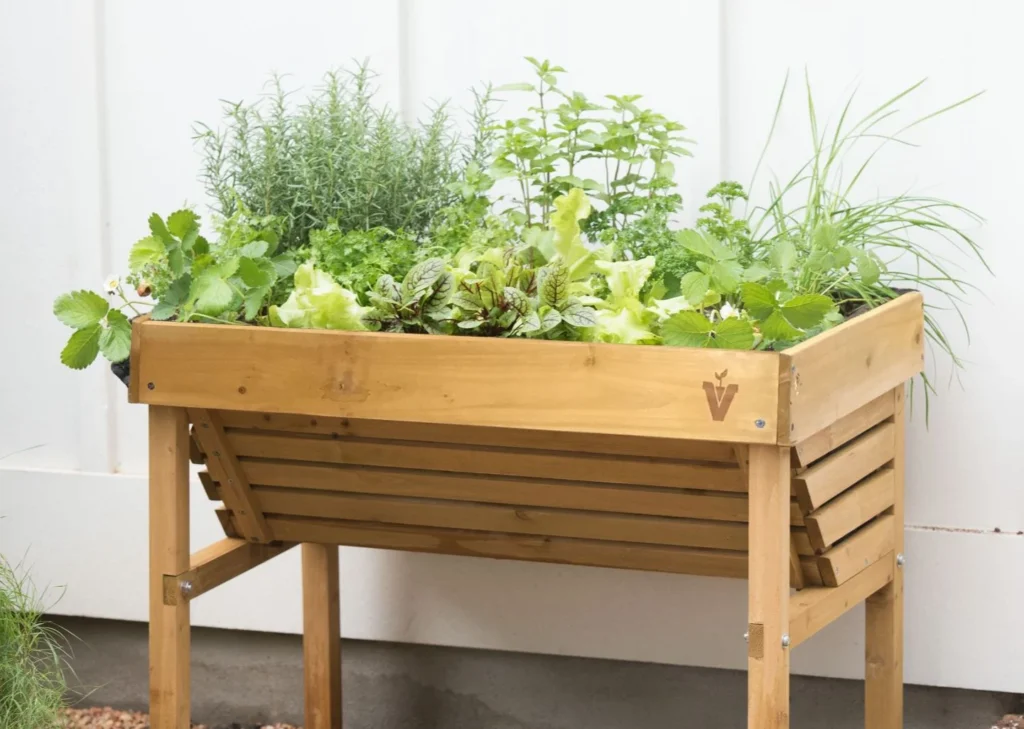 Herb garden ideas