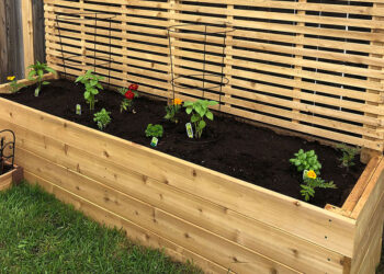 How to build a raised garden bed