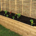 How to build a raised garden bed