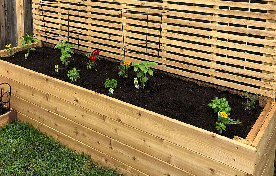 How to build a raised garden bed
