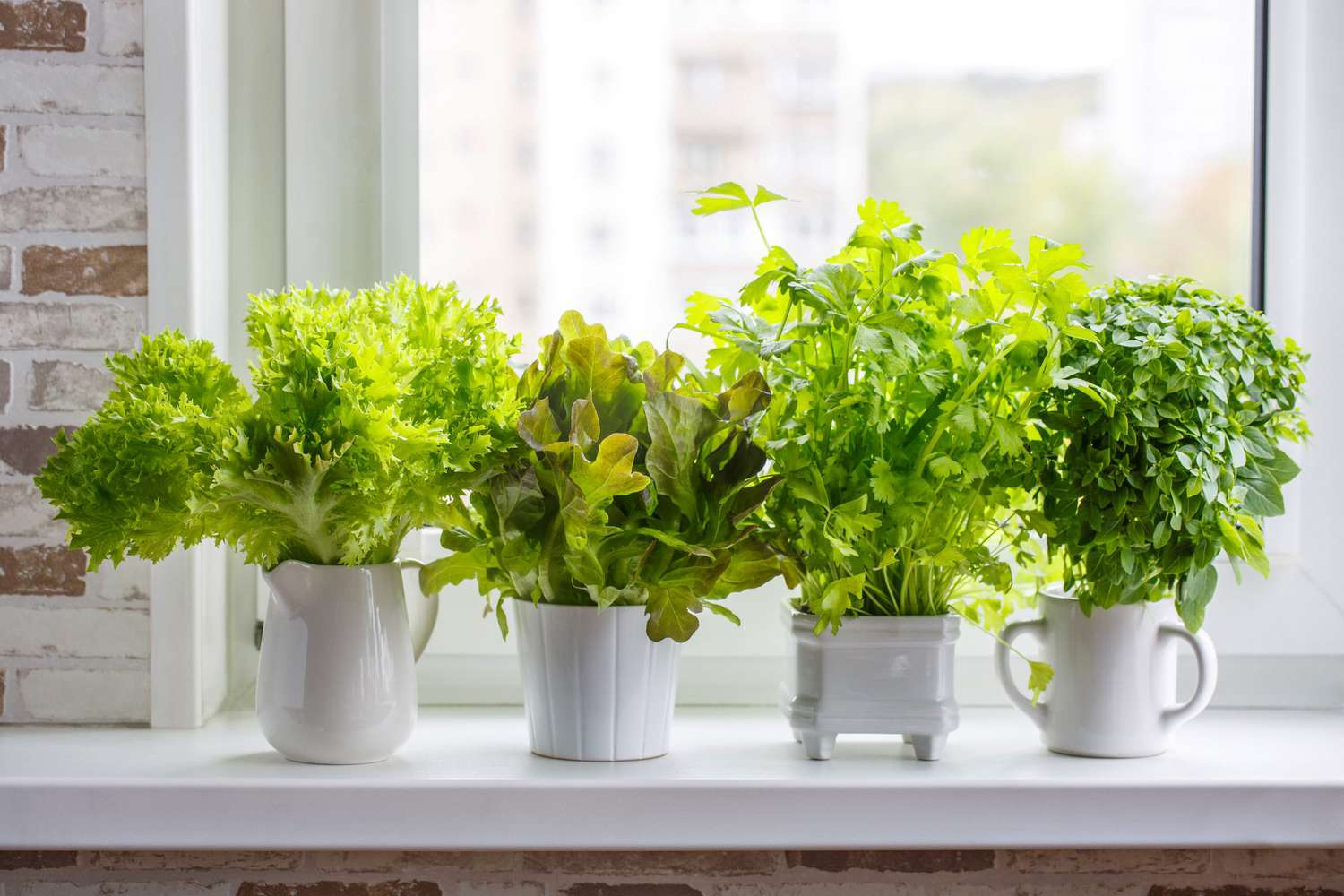 Indoor Herb Garden