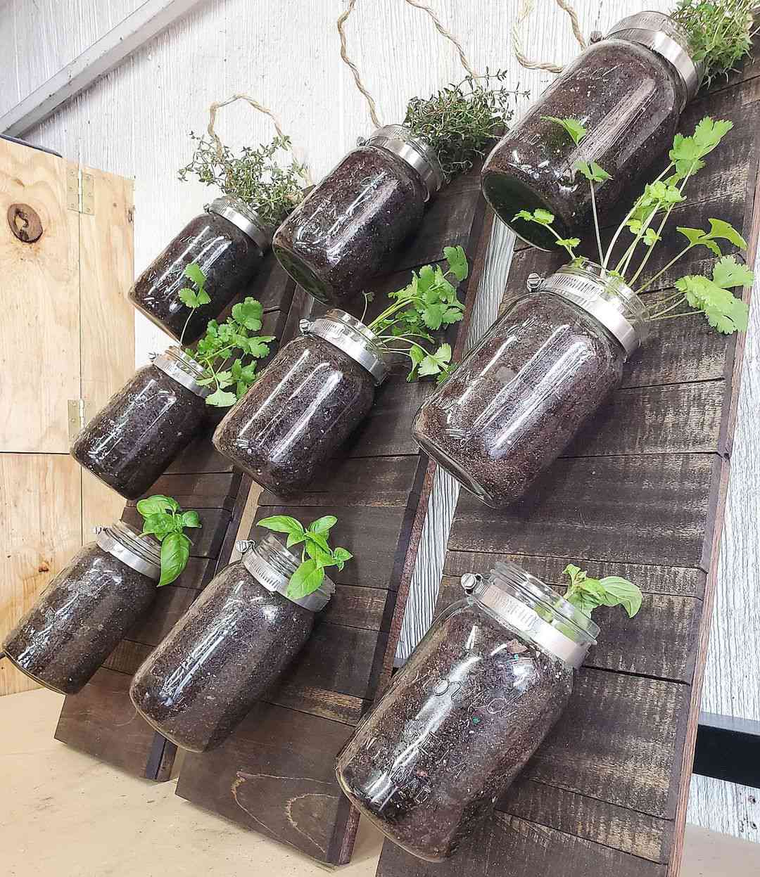 Jar Hangers Hanging Herb Garden