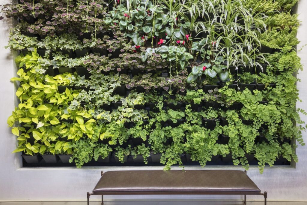 Living walls to grow herbs