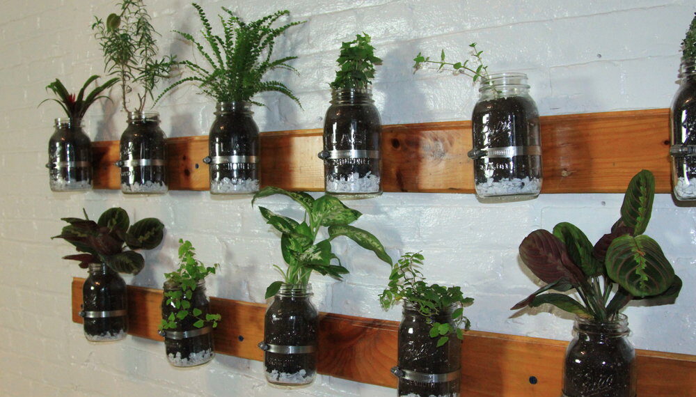 Make use of a mason jar for diy vertical garden