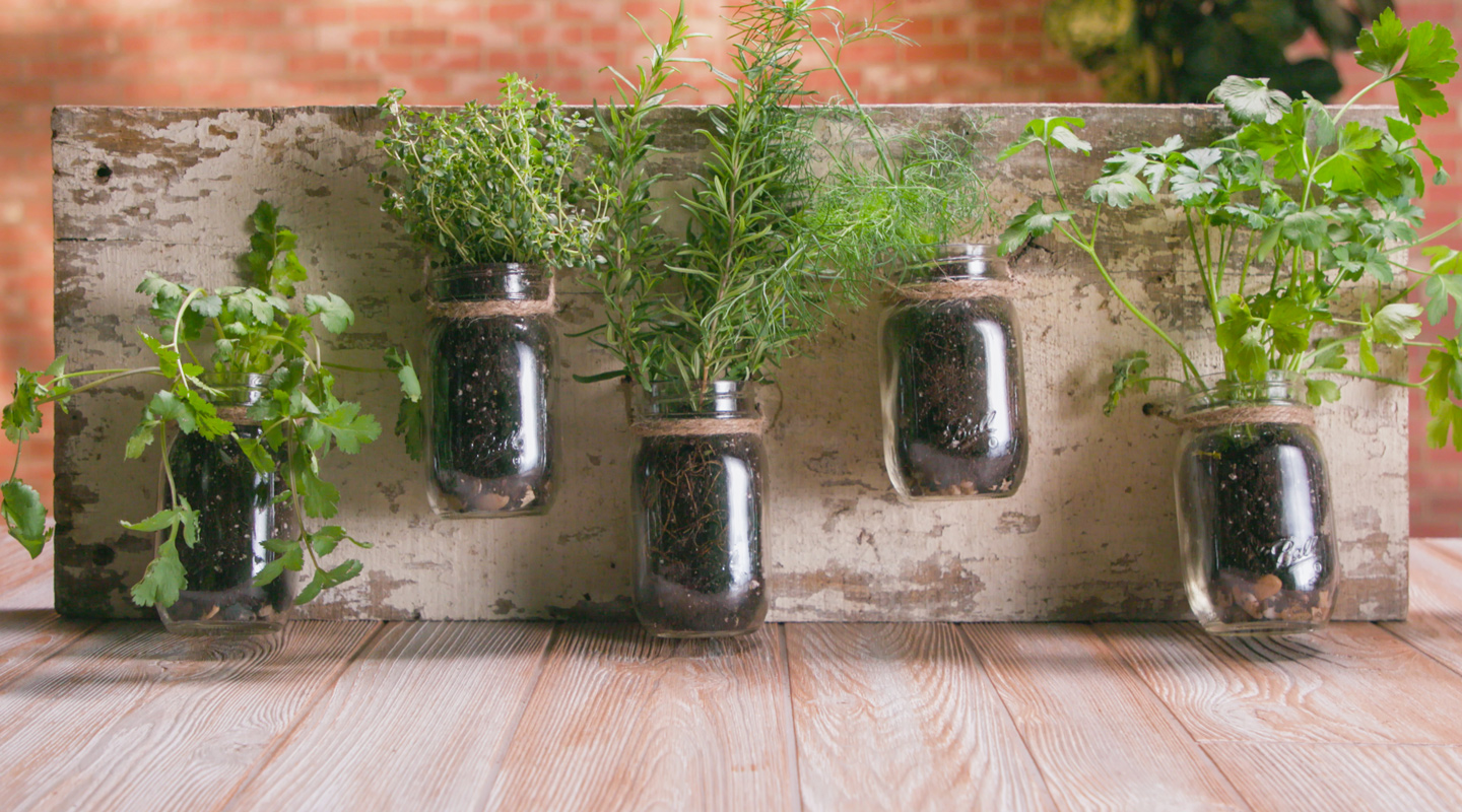 Mason Jar indoor herb garden