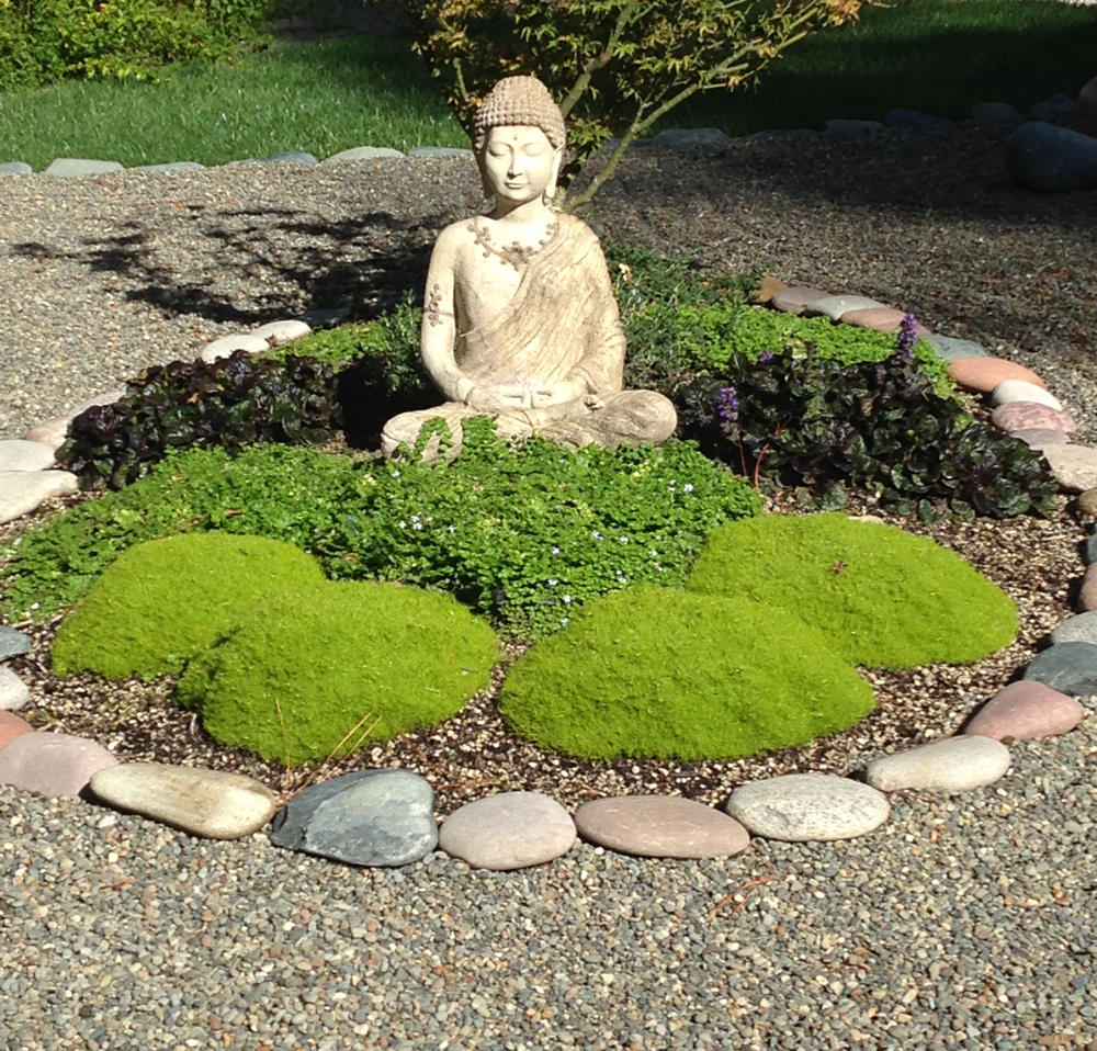 Mosses for your zen garden ideas 