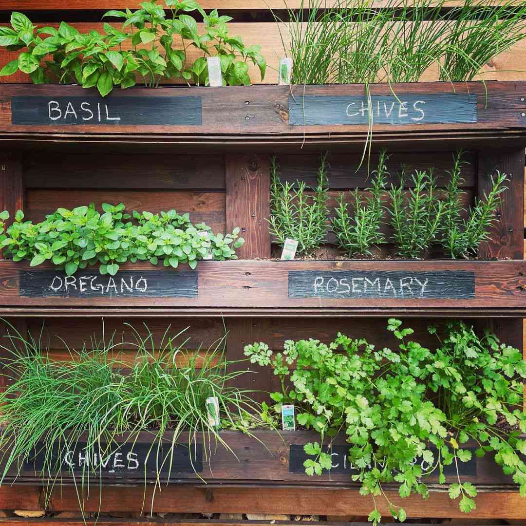 Multi-Tiered Hanging Herb Garden