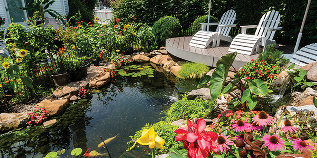 Patio with a pond