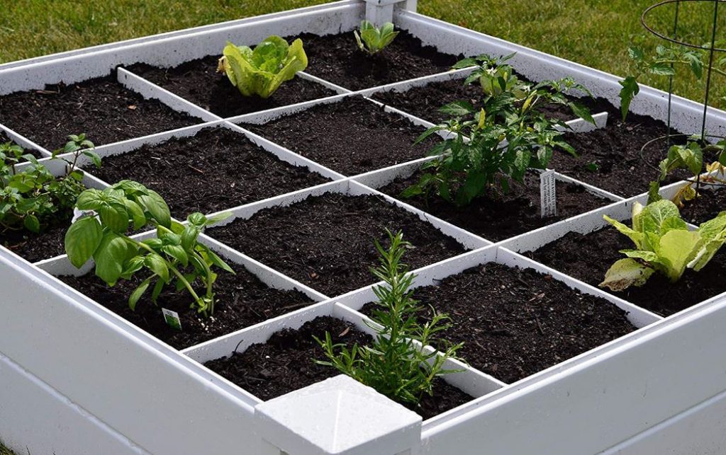 Raised Bed Herb Garden