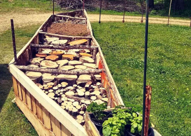 Raised Garden Beds Wooden