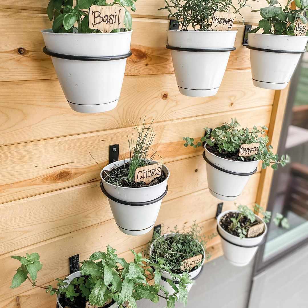 Simple Hanging Herb Garden