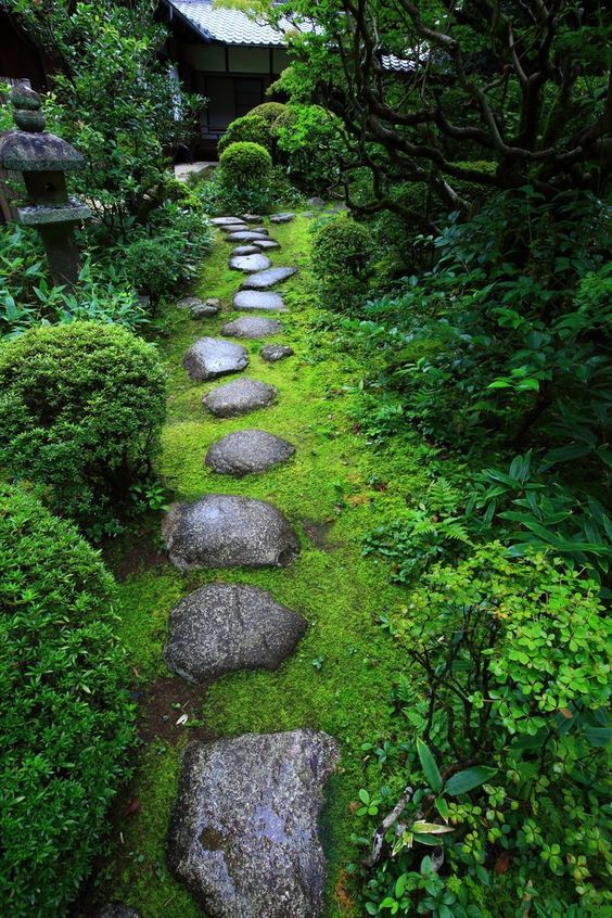 Stone Walkway