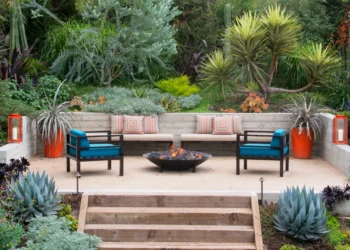 Succulent Garden Ideas for Small Spaces