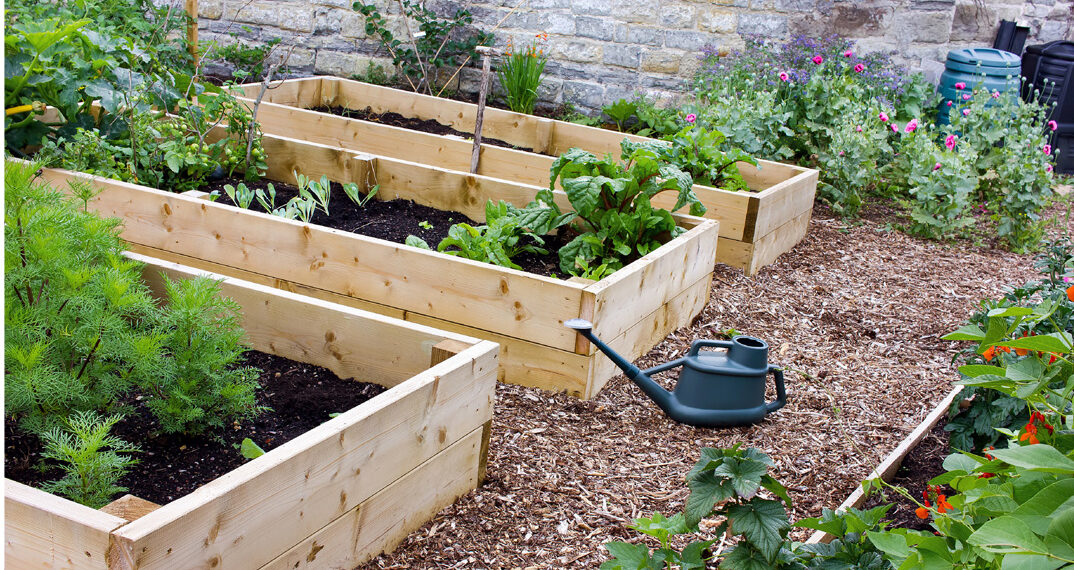 Raised Garden Beds