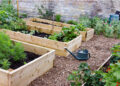 Raised Garden Beds