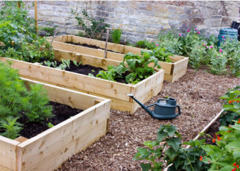 Raised Garden Beds