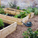 Raised Garden Beds