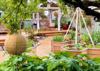 Top Herb Garden Ideas 