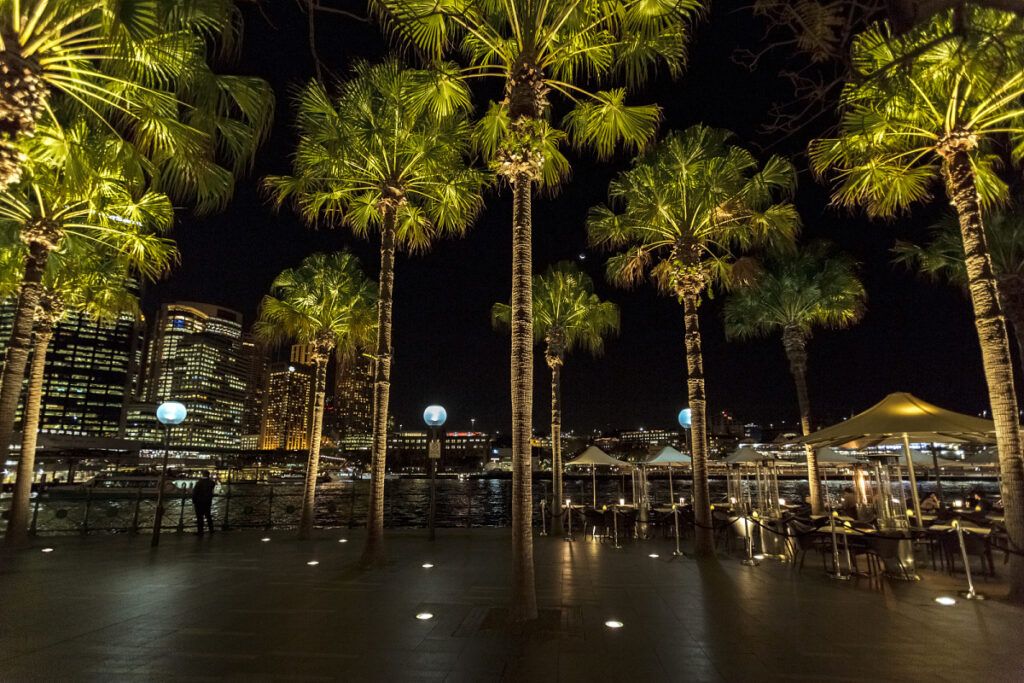 Tree Shadow Projection Lights