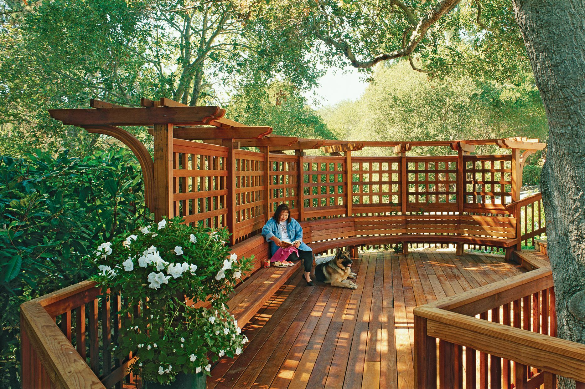 Trellis on the deck in Backyard Deck