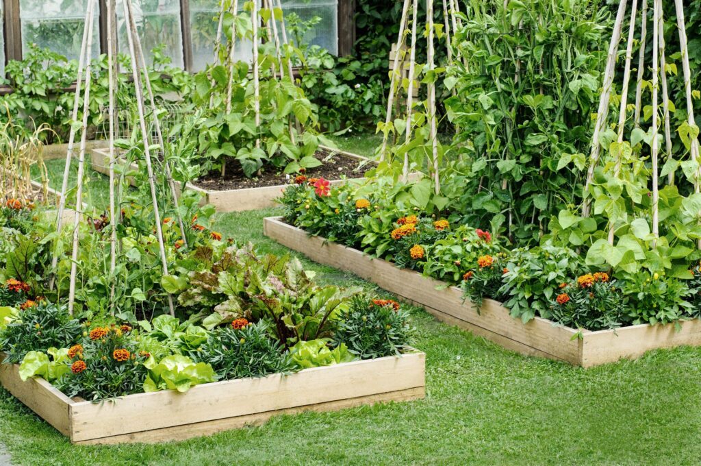 Types of raised garden beds