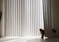 Vertical Blinds