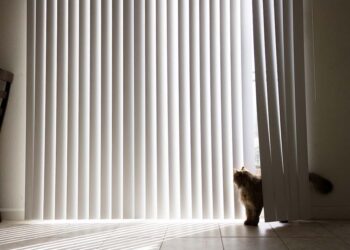 Vertical Blinds