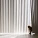 Vertical Blinds