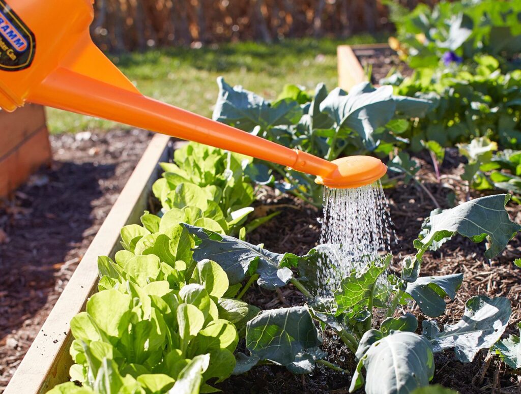 Watering raised garden bed