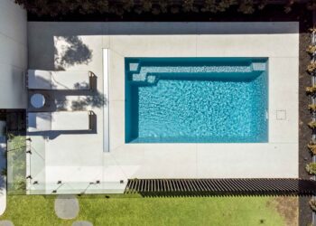 White Water Mould in The Pool And How To Get It Out Of Your Pool