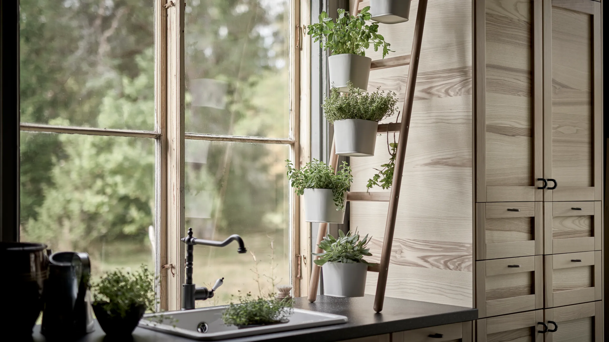 Window shelves indoor herb garden