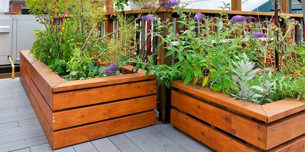 Wooden garden bed ideas