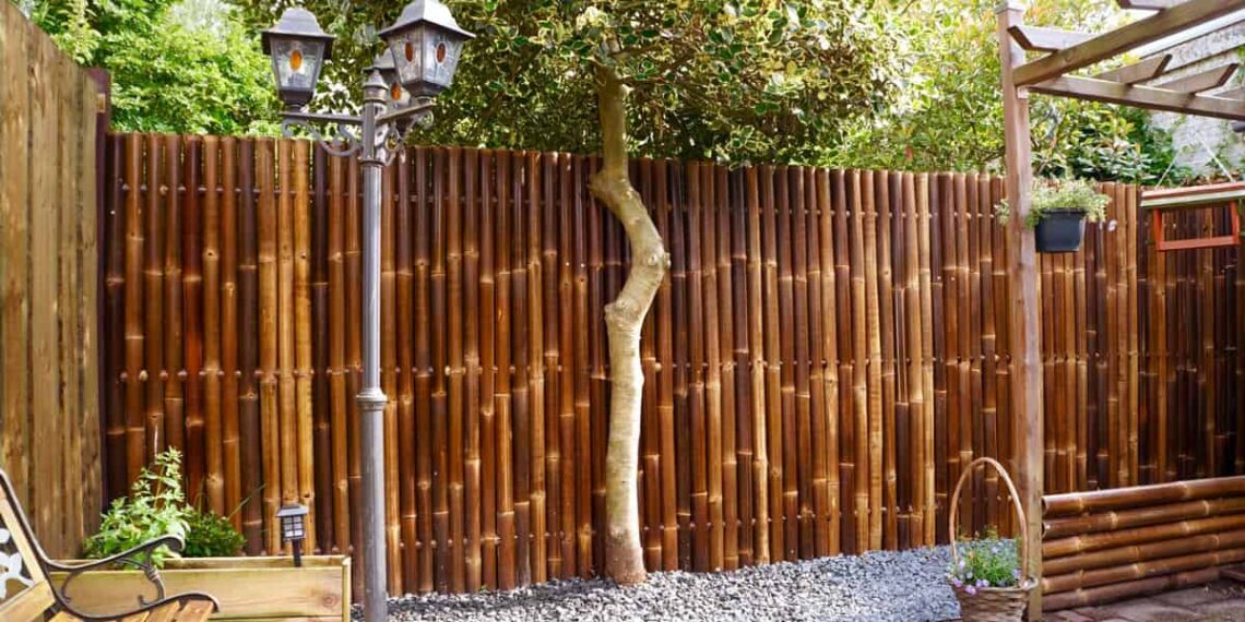 bamboo fence