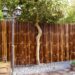 bamboo fence