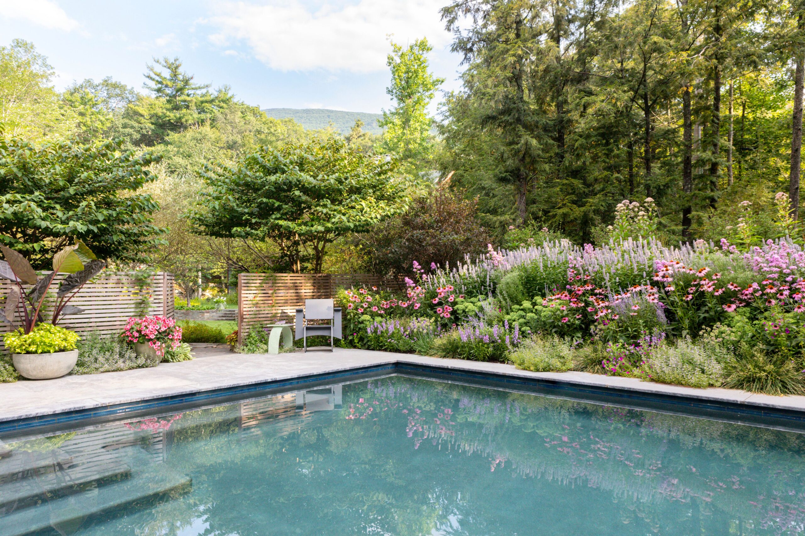 Evergreen plants and flowers near above ground pool spa