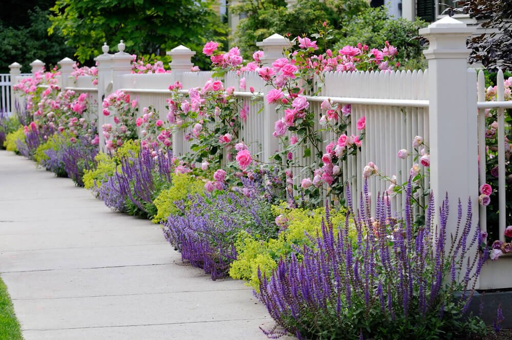 flowery fence