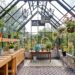 greenhouse